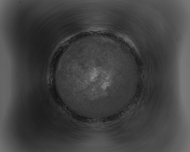 X0000100310920200806190939