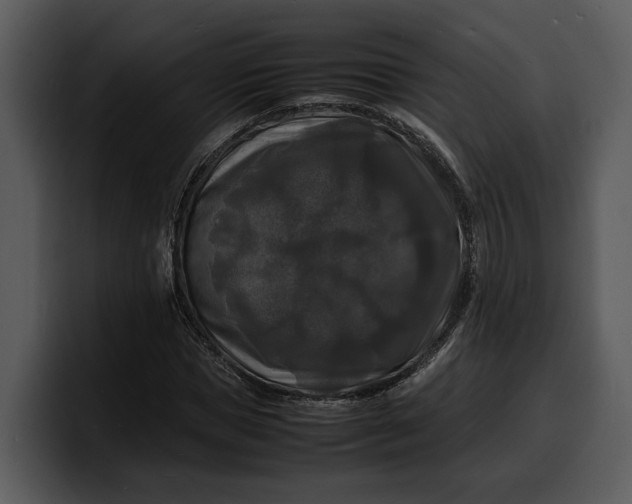 X0000100310921200806190939