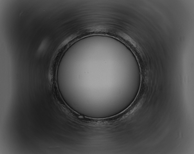 X0000100310922200806190939