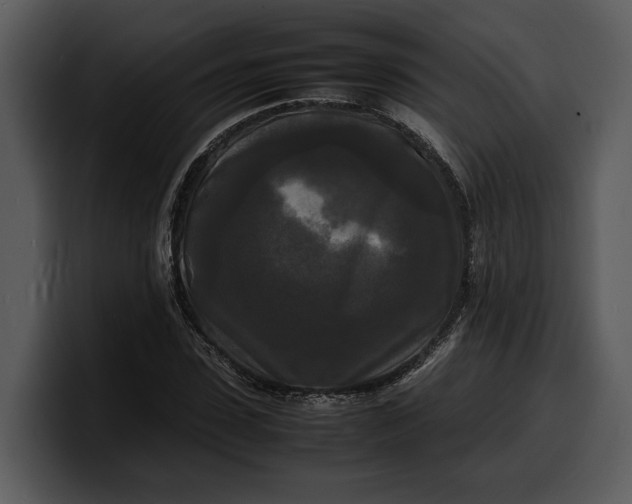 X0000100310923200806190939
