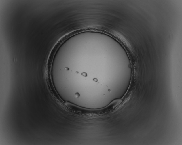 X0000100310924200806190939