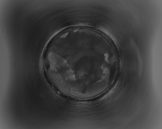 X0000100310925200806190939