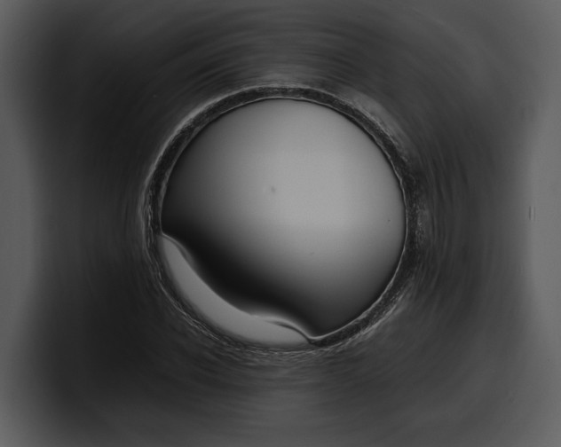 X0000100310926200806190939