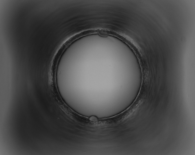 X0000100310927200806190939