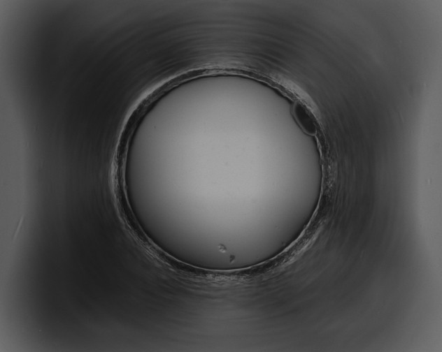 X0000100310928200806190939