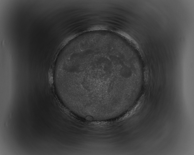 X0000100310929200806190939