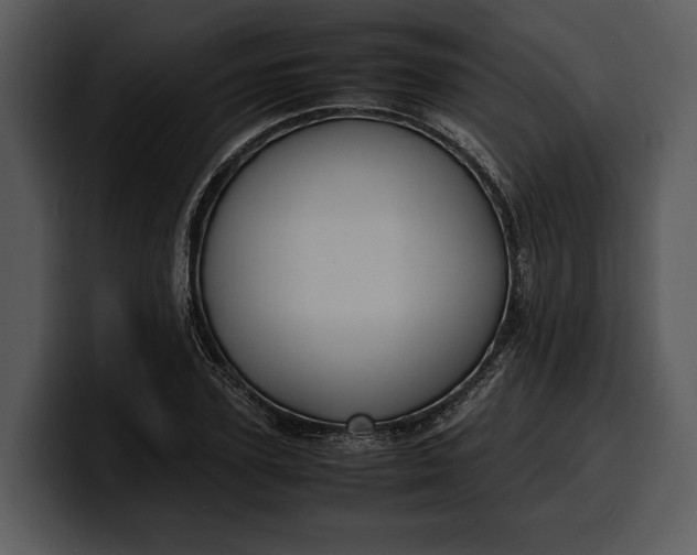 X0000100310931200806190939