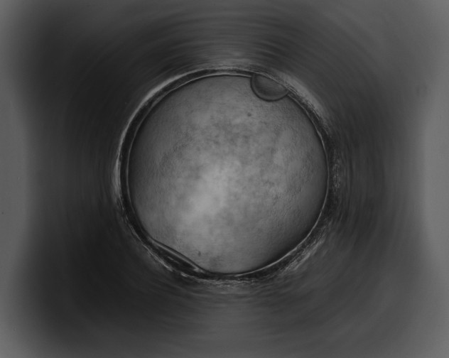 X0000100310932200806190939