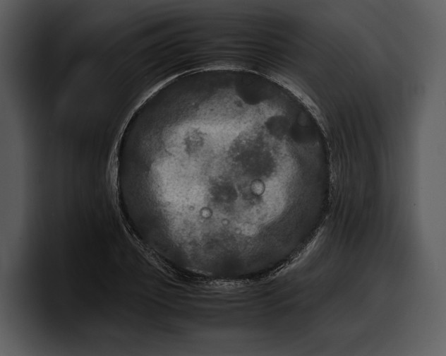 X0000100310933200806190939