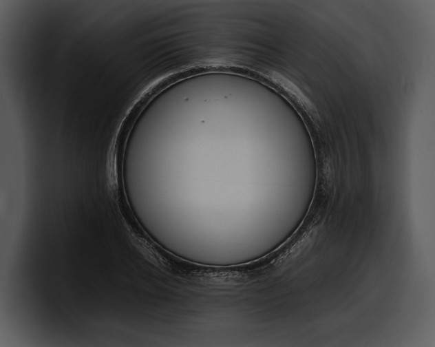 X0000100310934200806190939