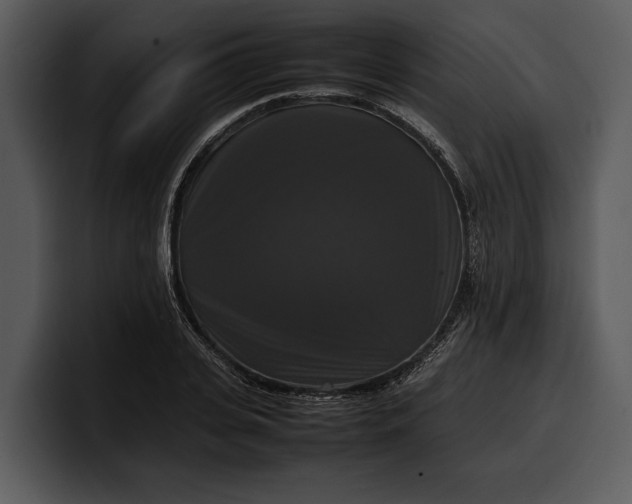 X0000100310935200806190939