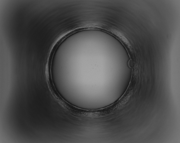 X0000100310936200806190939