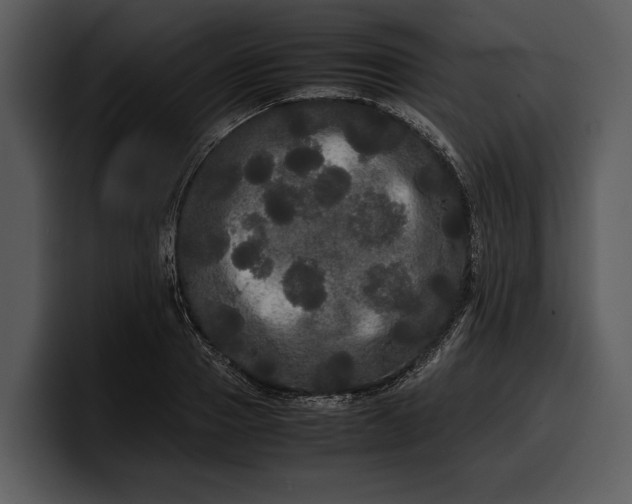 X0000100310937200806190939