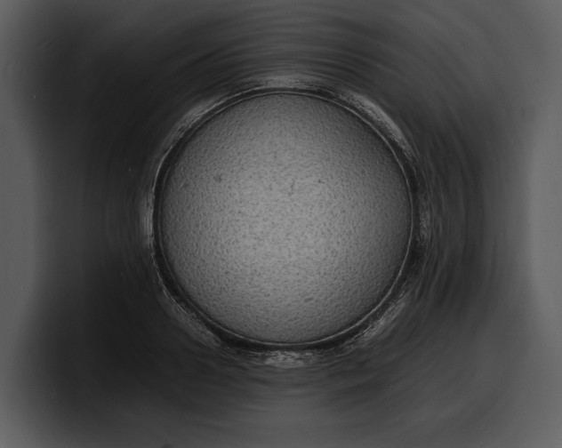 X0000100310938200806190939