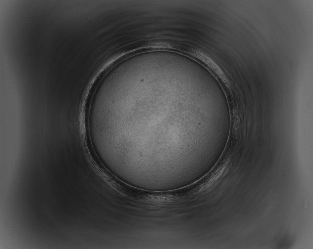 X0000100310939200806190939