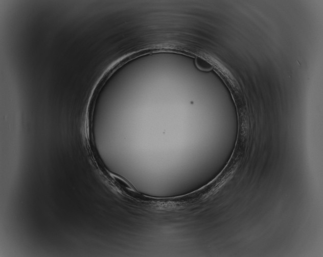 X0000100310940200806190939