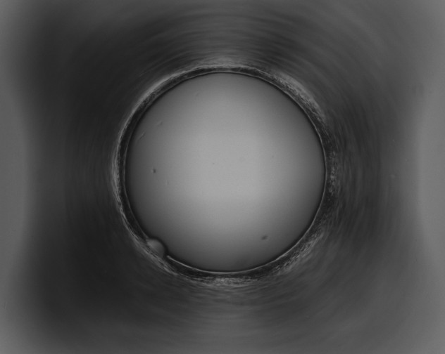 X0000100310942200806190939