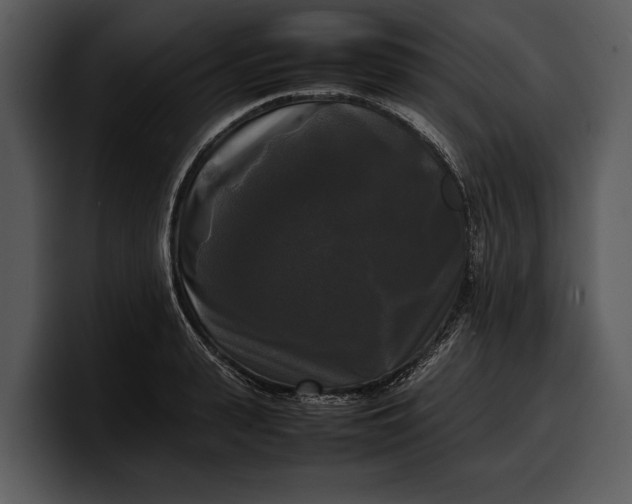 X0000100310943200806190939