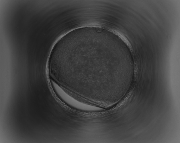 X0000100310944200806190939