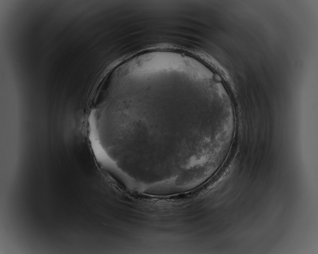 X0000100310945200806190939