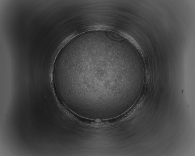 X0000100310946200806190939