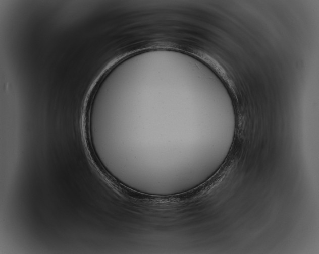 X0000100310947200806190939
