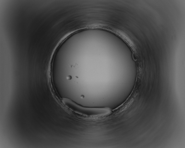 X0000100310948200806190939
