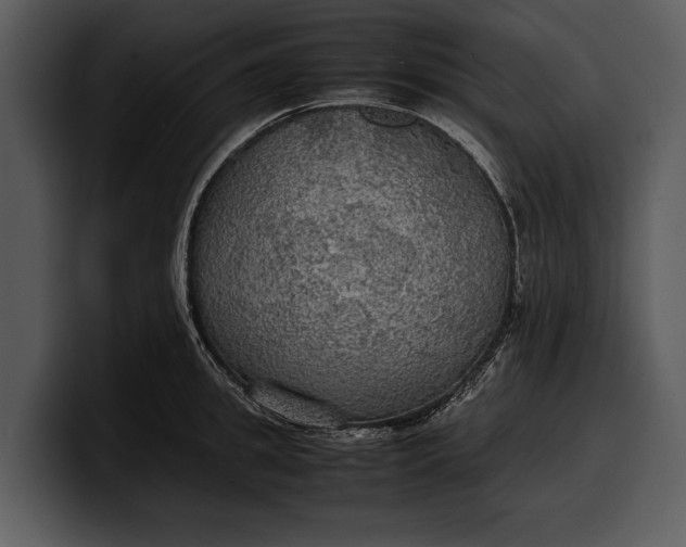 X0000100310949200806190939
