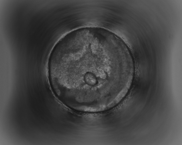 X0000100310950200806190939