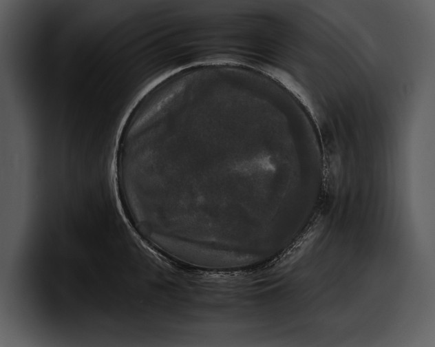 X0000100310951200806190939