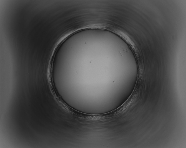 X0000100310952200806190939