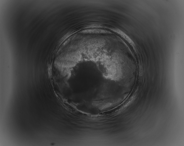 X0000100310953200806190940