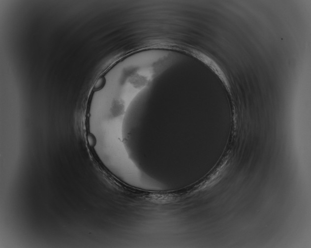 X0000100310954200806190940