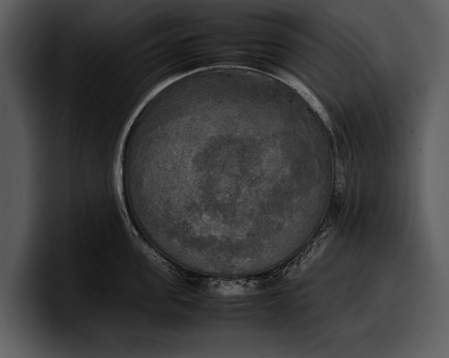 X0000100310955200806190940