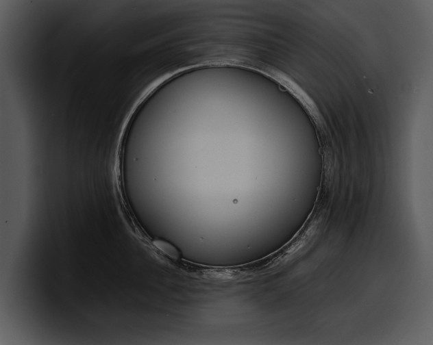 X0000100310956200806190940