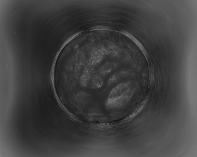 X0000100310957200806190940