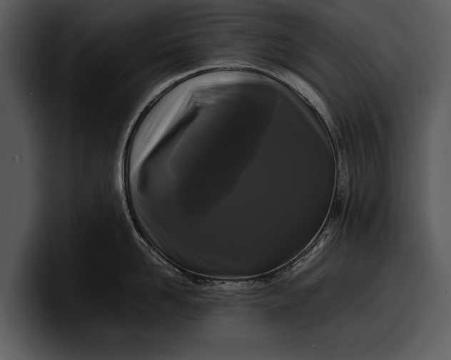 X0000100310958200806190940