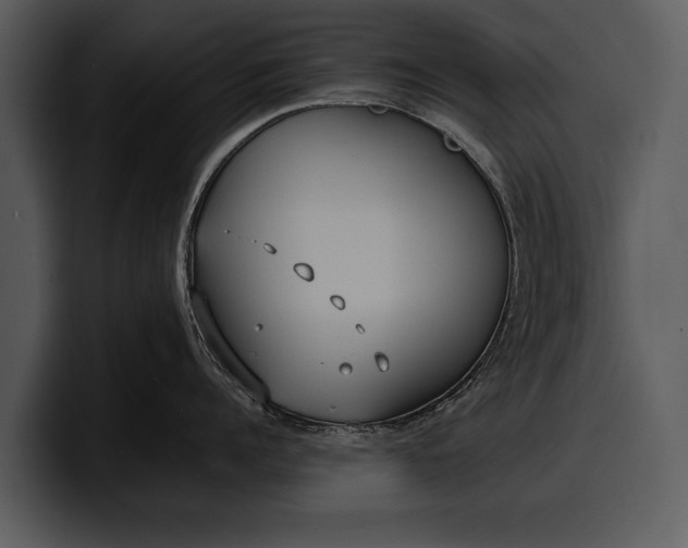 X0000100310960200806190940