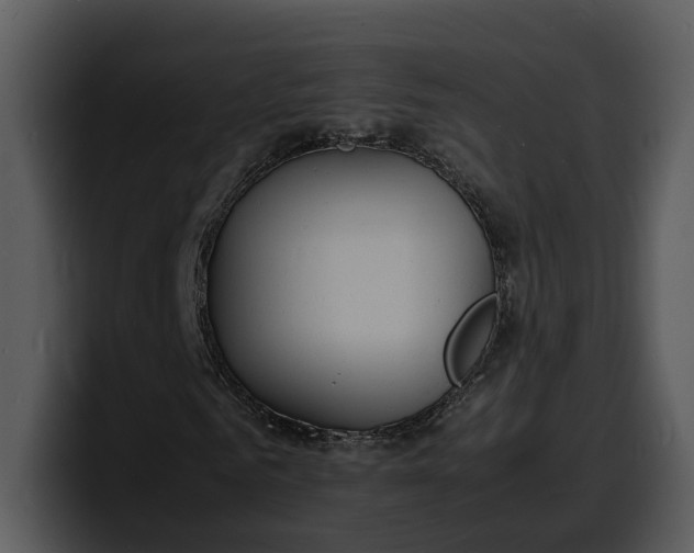 X0000100310961200806190939