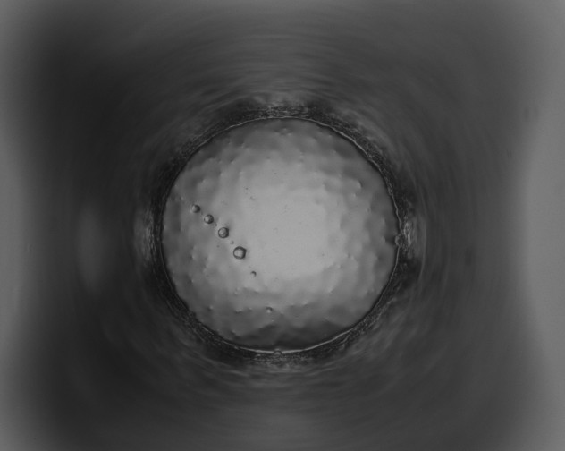 X0000100310963200806190939