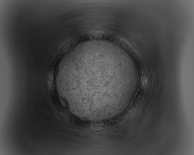 X0000100310964200806190939