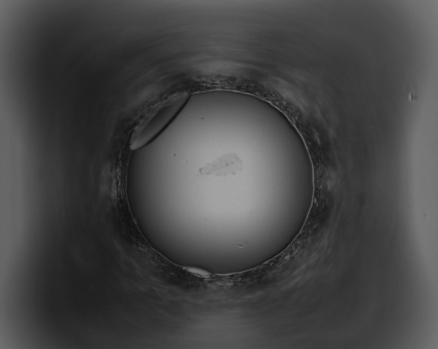 X0000100310965200806190939