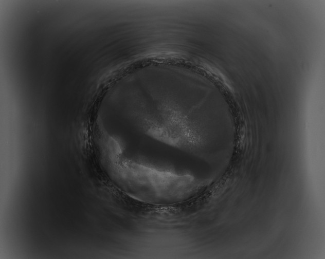 X0000100310966200806190939