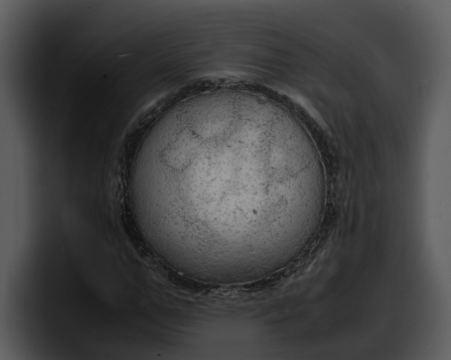 X0000100310967200806190939