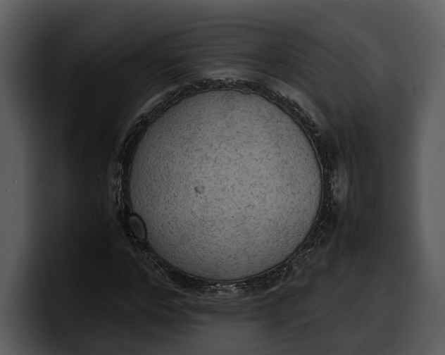 X0000100310968200806190939