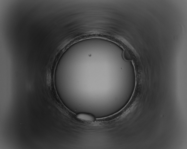 X0000100310969200806190939