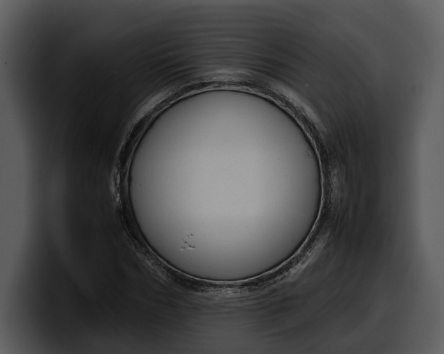 X0000100310970200806190939