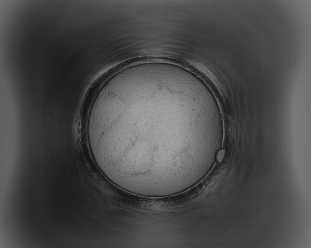 X0000100310971200806190939