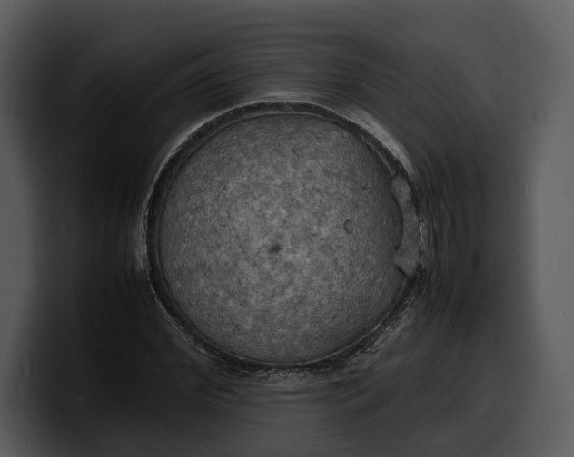 X0000100310972200806190939