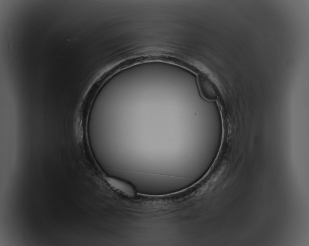 X0000100310973200806190939